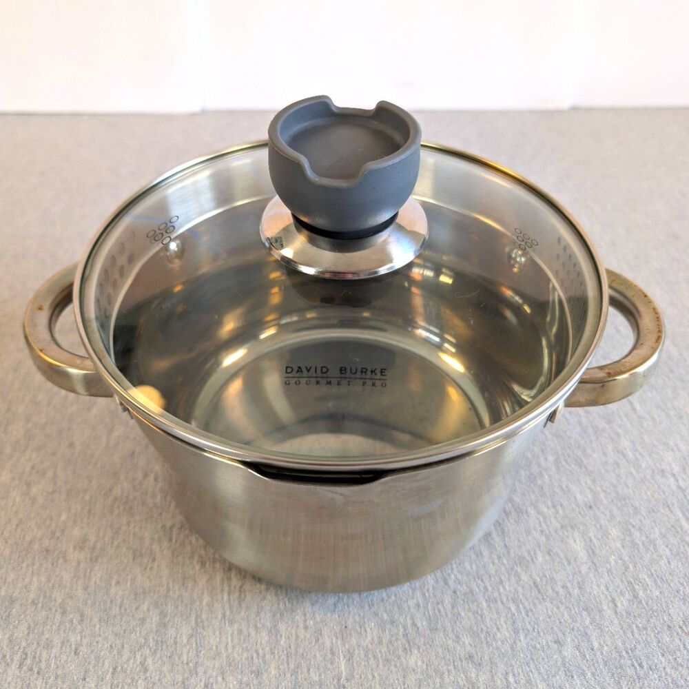 David Burke Gourmet Pro Stainless Steel Stockpot 3.3 Qt Glass Lid Double Handle